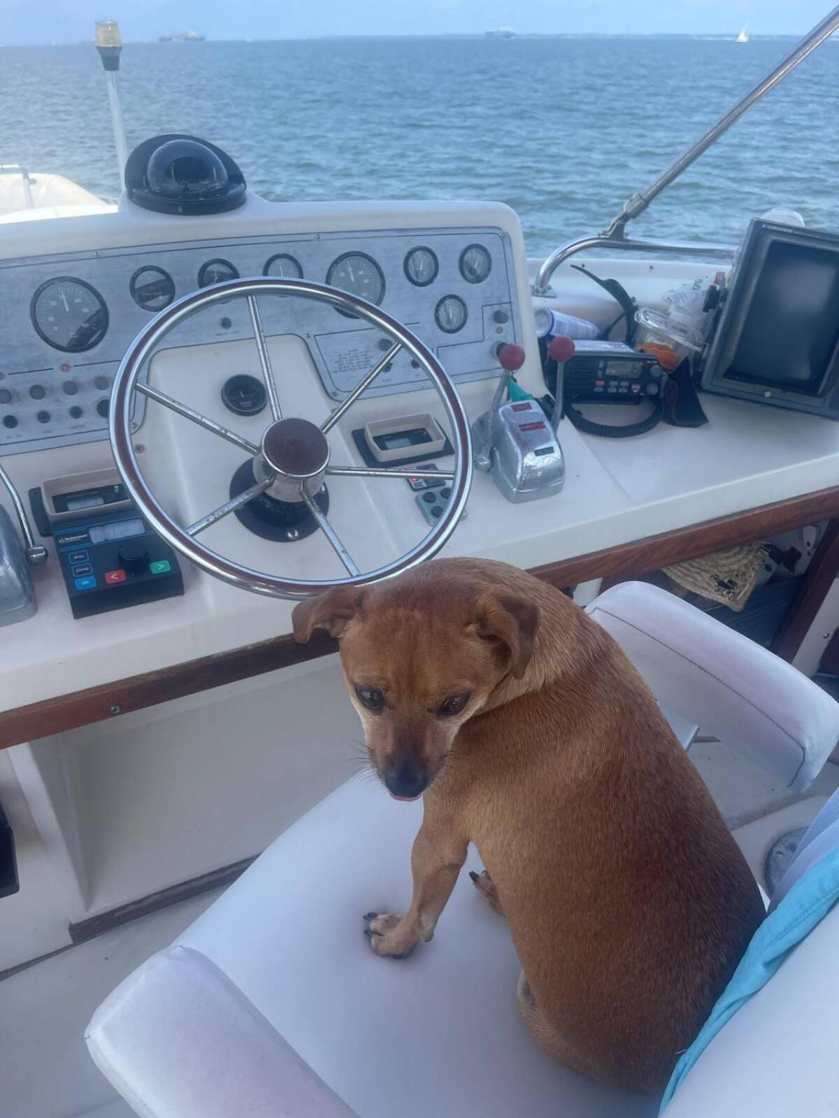 Annapolis Boat Life - Overnight Stays Eksteriør bilde